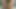 Elmer's Wife has multiple heavy objects in her anus, teasing 2