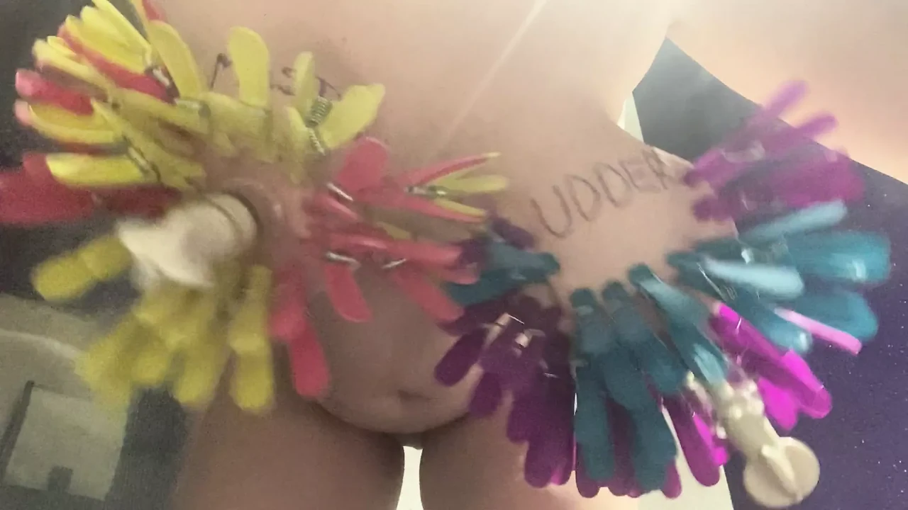 Swinging clothes peg udders