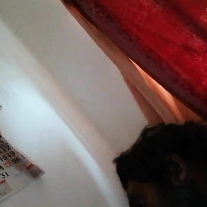 Teasing My Aunty's Puffy Nipples