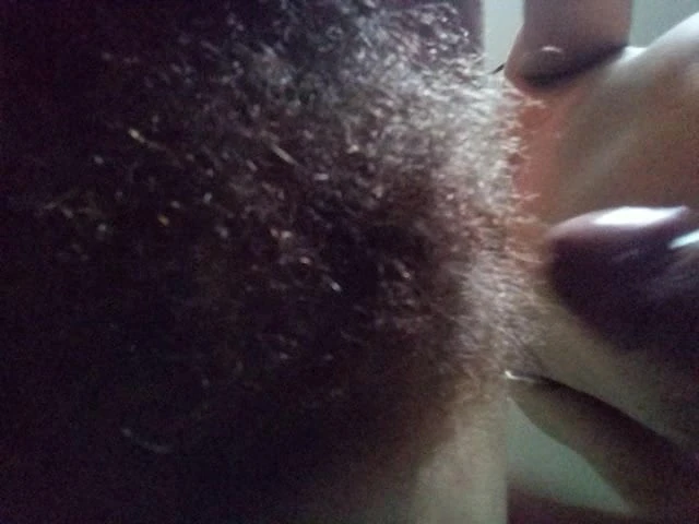 Bush Fotze