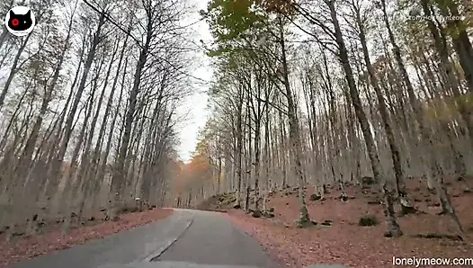 Der Bergspaziergang und fick