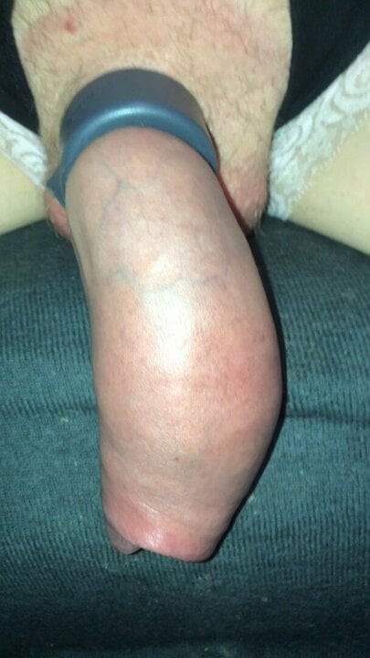 my cock
