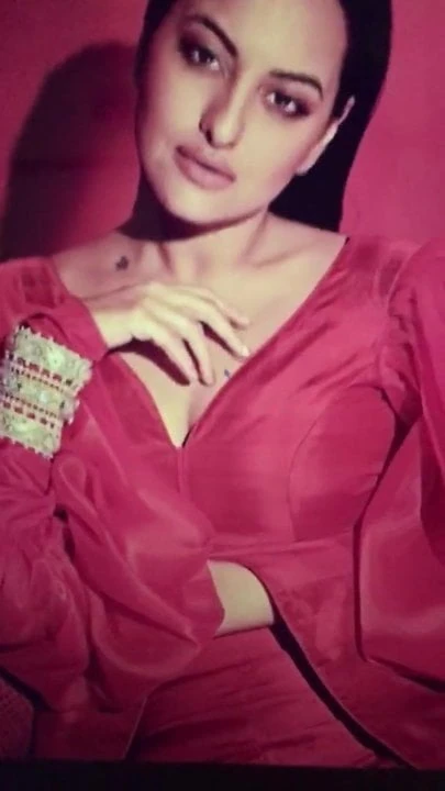 Sonakshi Sinha cum tribute