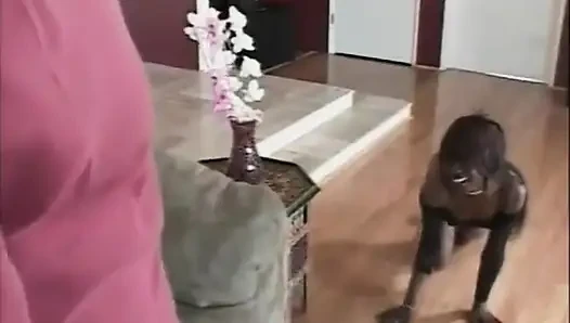 Ateşli zenci hatun yarağa binmeden ve boşalmadan önce tatlı sakso çekiyor