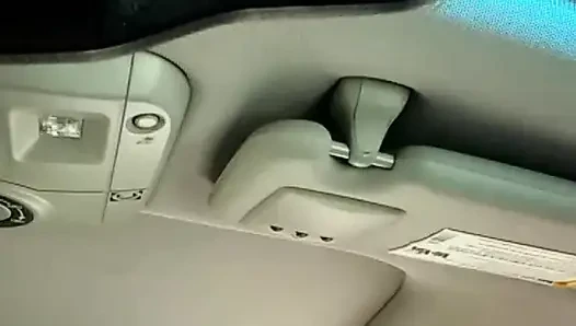 Quick Review of the Rose Vibrator