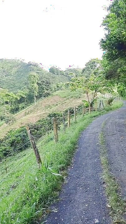 Vruća eksplozija sperme u šumi