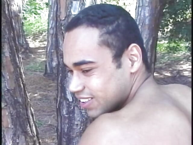 Busty tgirls ass fucking young twinks in the woods