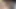Patronum için büyük oyuncak gösterisi ve fışkırtıyor