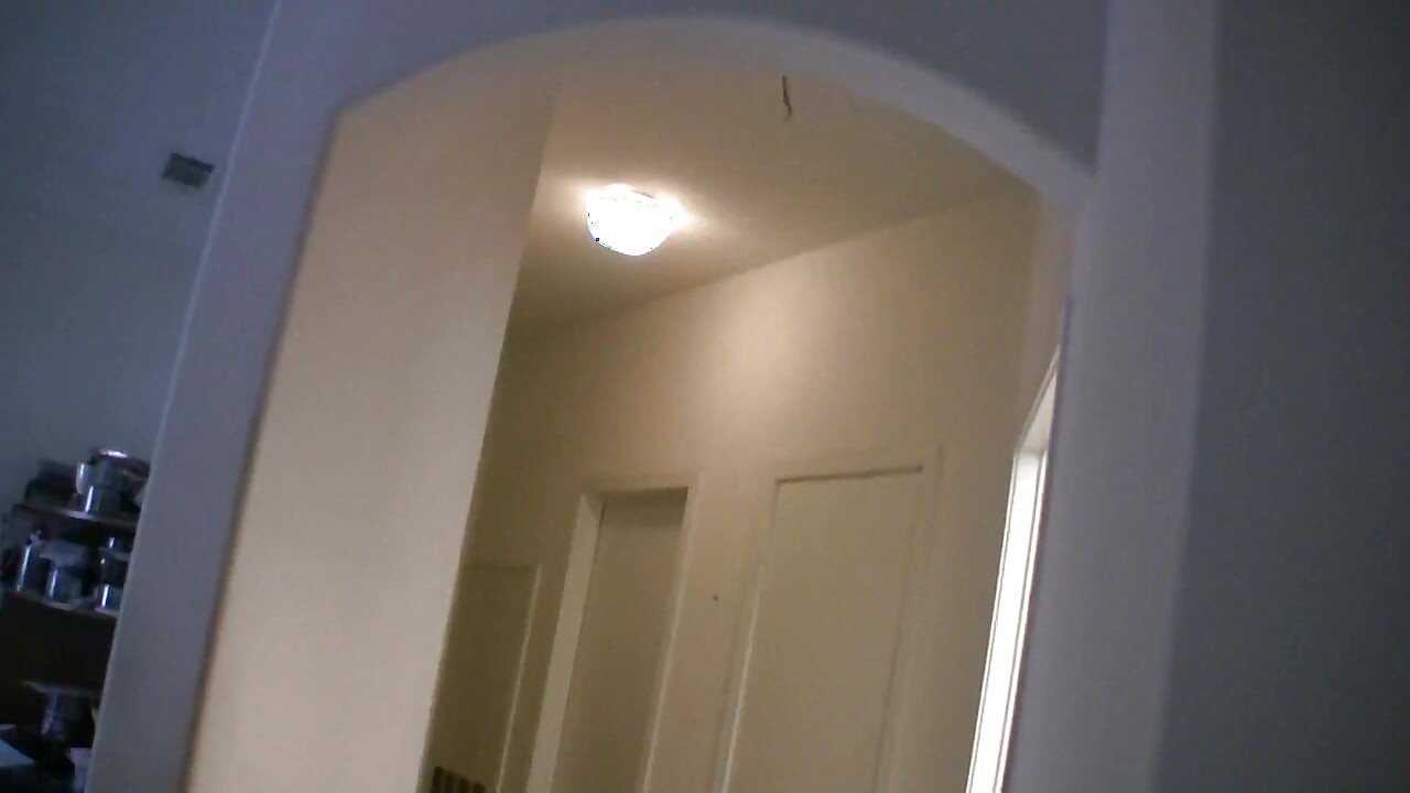 Brunette teen with nice tits sucks big cock in pov