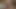 Wife gives blowjob and cum