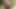 Naughty shemale is fond of slapping her boner while getting her asshole nailed by hard stiff cock in the forest