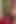 Seksi yağ ile büyük yarak mastürbasyonu