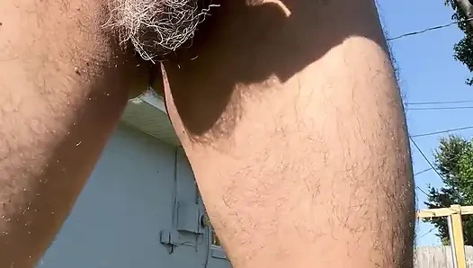 Sunny Day