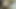 Secretly filmed Barbara natural blonde with perky tits