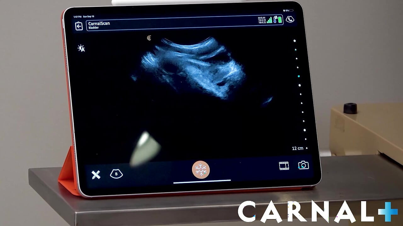 FunSizeBoys - lendas pornô Dallas Steele Austin Young em pêlo duro