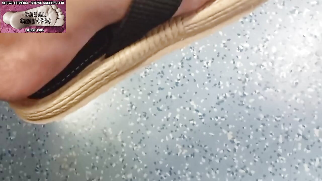 PUBLIC TRANSPORT 13