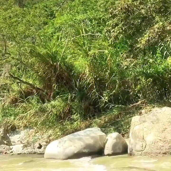 المشي في النهر العاري وحدي