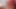 Indian desi sarvent ne apni malkin ki Gand aur chut dono fad diya jb gr me vo akeli thi full hd video