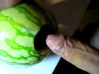 Lubenica, Dinnye, Melone, Melon