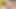 Damn! Lightskin BBC Fucks Horny Festival Girl Hard!
