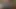 Yalıyor kedi arasında onun yaramaz siyah kız arkadaşı