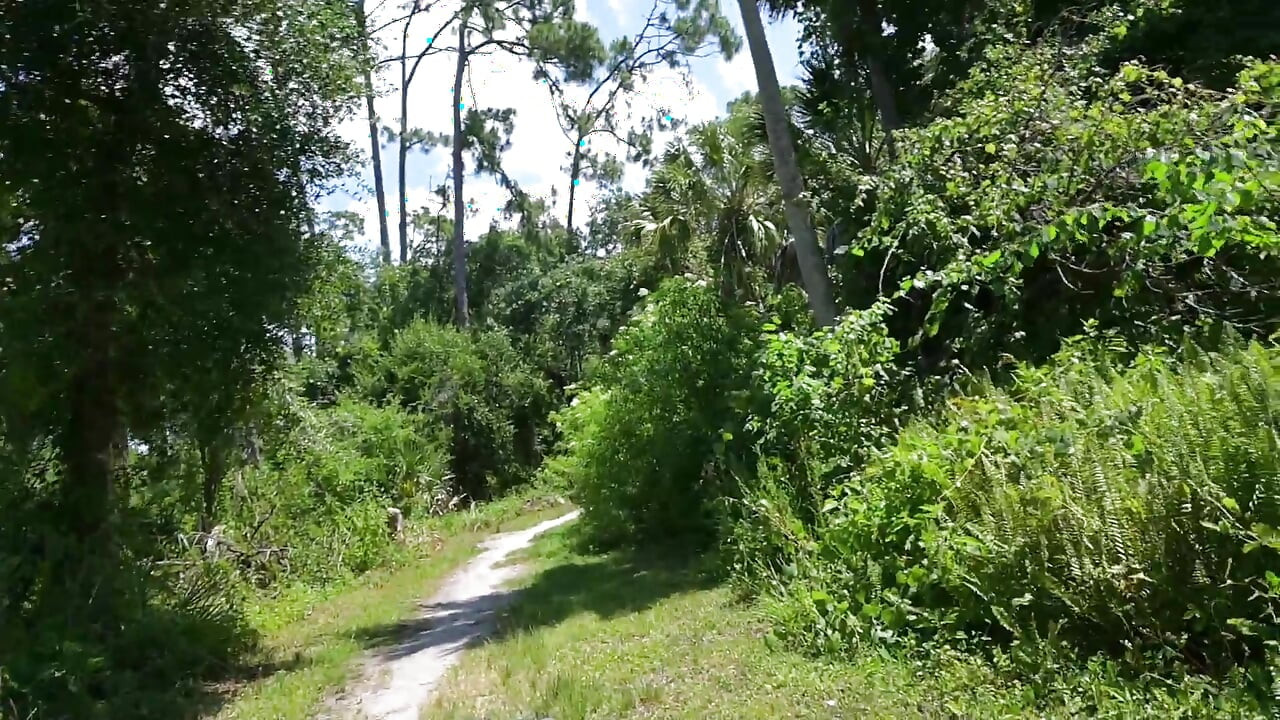 Bts Nature Walk e Masturbação na Trilha