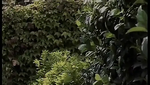 Güzel sıkı sarışın hatun sakso çekiyor ve sert bir yarak alıyor ve havuz kenarında yüze boşalma