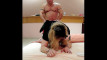 Pregled videozapisa