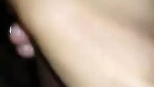 Büyük horoz için dik kedi