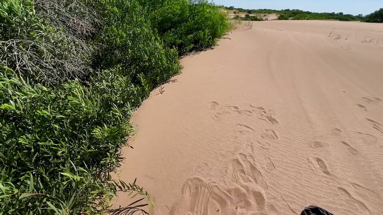 O que realmente aconteceu no deserto? - Lana Myers