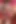 Bikinili orta yaşlı seksi kadın trios sahne 2_blonde ve esmer orta yaşlı seksi çift büyük bir yarakla seks yapıyor
