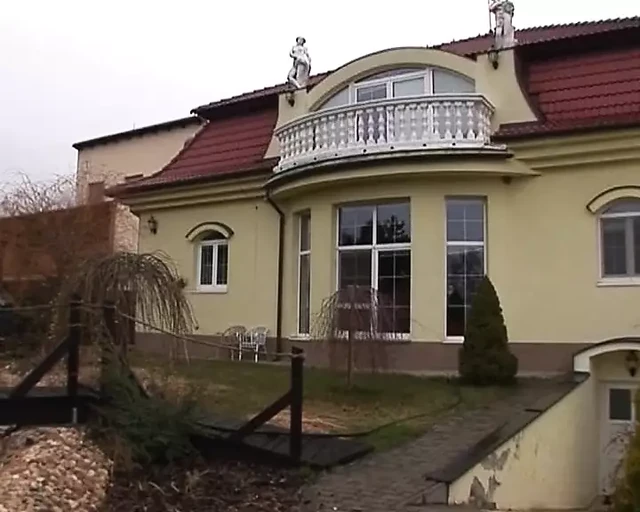 A wild German lady gets her holes dildoed and fucked in the living room