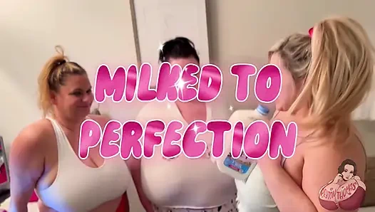 Peras susu sampai kesempurnaan