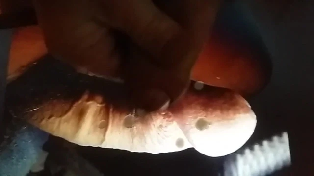 pour toi mon ami amigokente