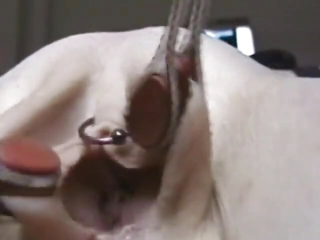 Skinny girl gets pussy pinched while she's tied down