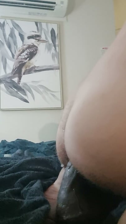 13 inch bbc dildo