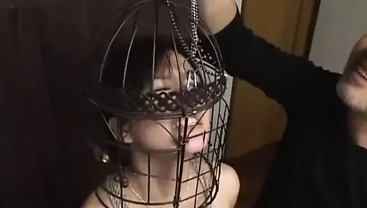 Subtitulado japonés cmnf bdsm gancho de nariz juego de jaula de pájaros