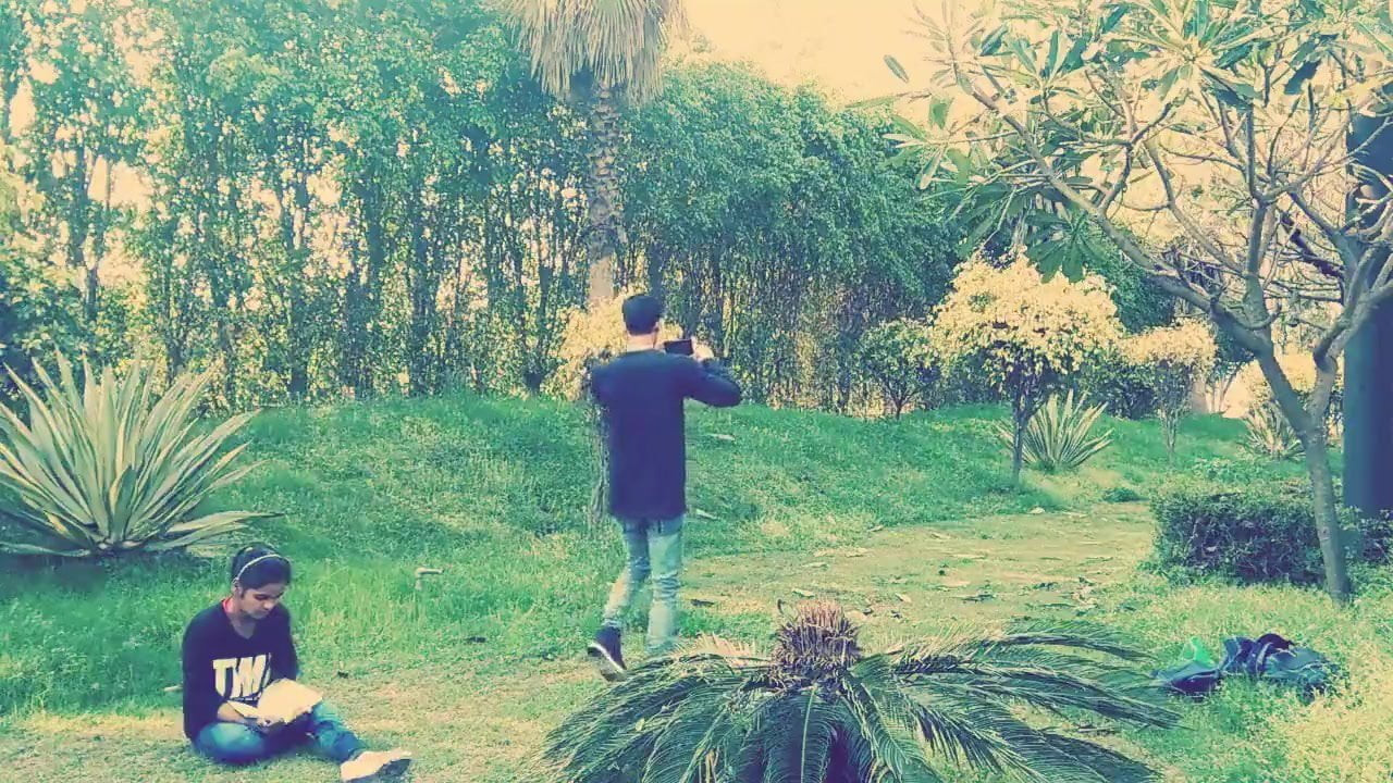 Mera Dil
