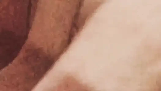 Today's heat, the warmth of the taste is irresistible