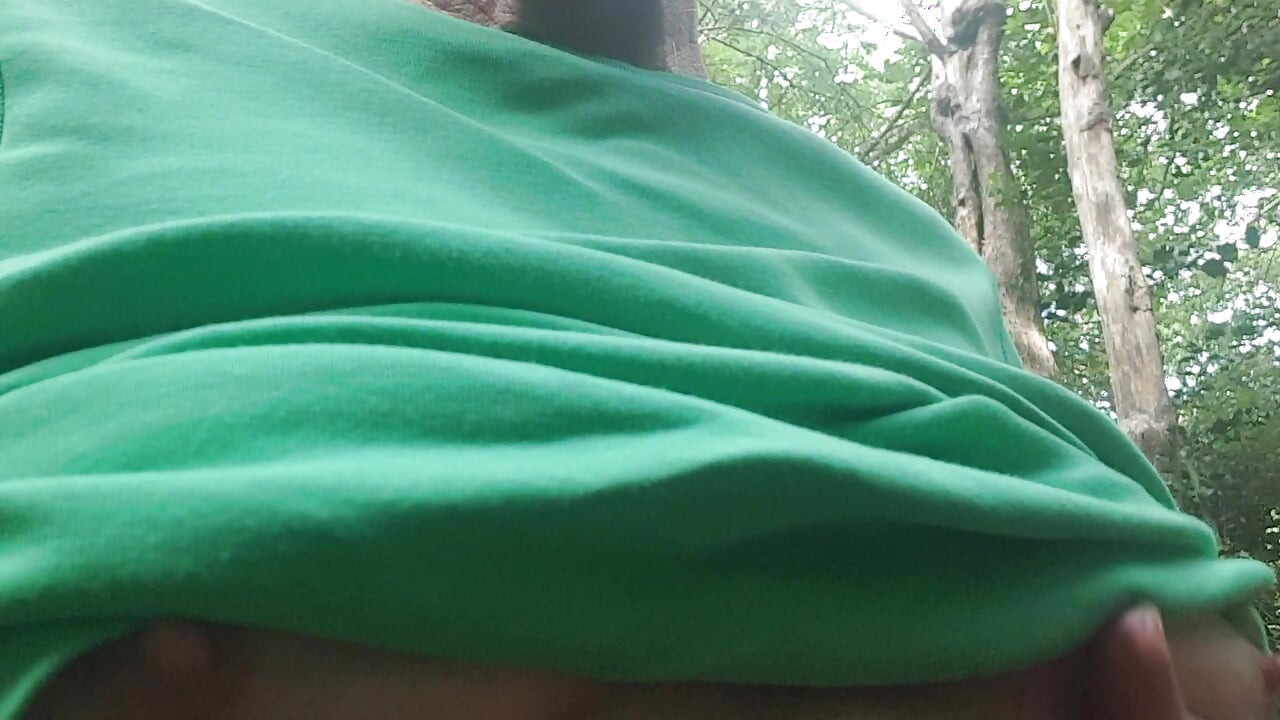 Pergi ke hutan hari ini