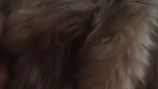 Cum üzerinde kürk tilki