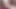 Delicate and Soft Intimate Bushes Vol 4
