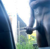 Pregled videozapisa