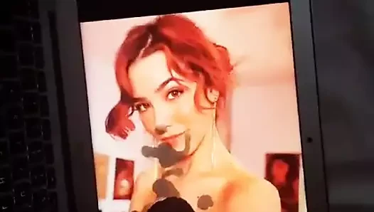 Asmr parıltılı döl haraç 3