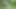 Horny Crossdress Whores Fucking in the Woods