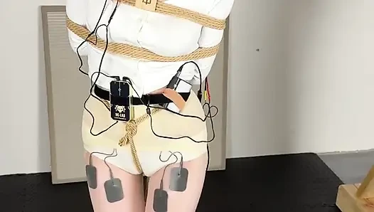 Limit Electric Shock and Voice-controlled Electric Shock Penalty Standing
