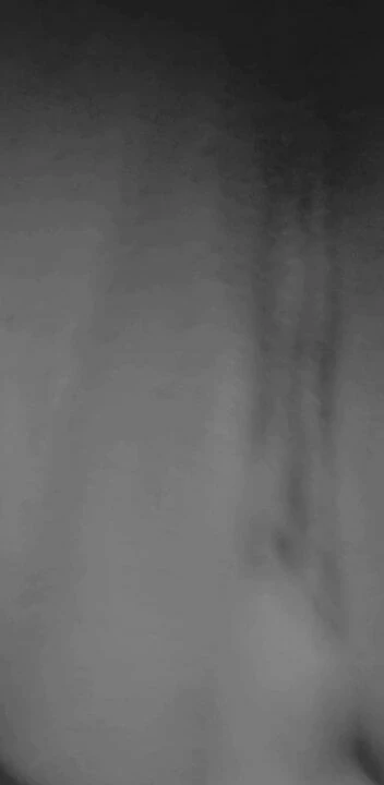 Masturbating a beautiful woman i want to lick that pussy