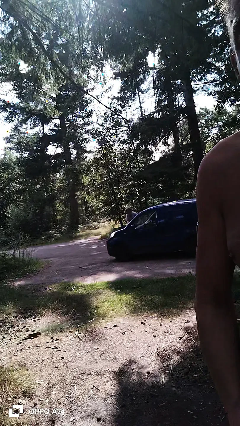 Being Horny in a Parking Lot