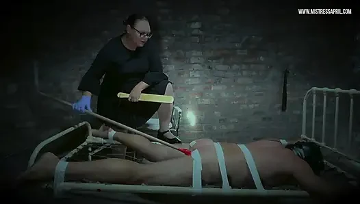 Domina Herrin april - Die pisshure