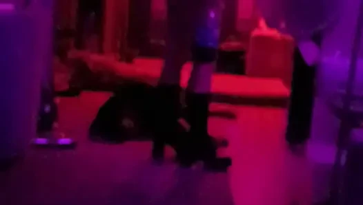 My amazing lil bitch